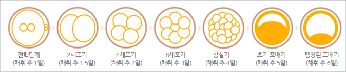 이미지명